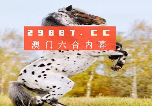 白小姐的精準(zhǔn)免費(fèi)四肖，揭秘背后的秘密，揭秘白小姐精準(zhǔn)免費(fèi)四肖背后的秘密