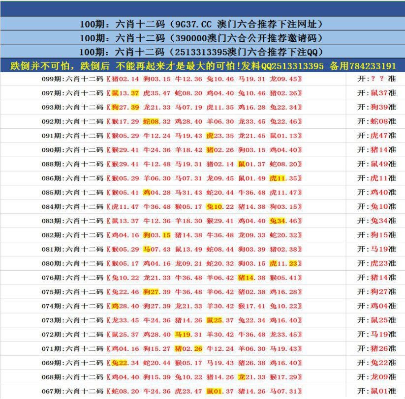 澳門無錯九肖今日搜狗，探索與解析，澳門無錯九肖今日搜狗，深度解析與探索