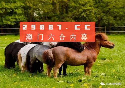 一馬中特內(nèi)部精準資料免費大公開，揭秘行業(yè)秘密，助力個人成長，揭秘行業(yè)秘密，一馬中特內(nèi)部精準資料大公開，助力個人成長免費獲取