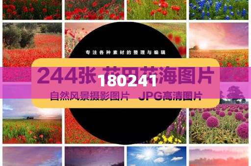揭秘精準管家婆狗，77777與88888的神秘面紗，揭秘精準管家婆狗，神秘數(shù)字77777與88888背后的秘密
