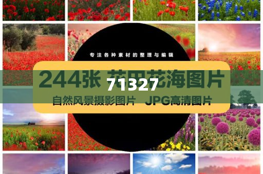 探索777788888管家婆網(wǎng)，一站式解決方案的綜合服務平臺，一站式解決方案的綜合服務平臺，探索777788888管家婆網(wǎng)