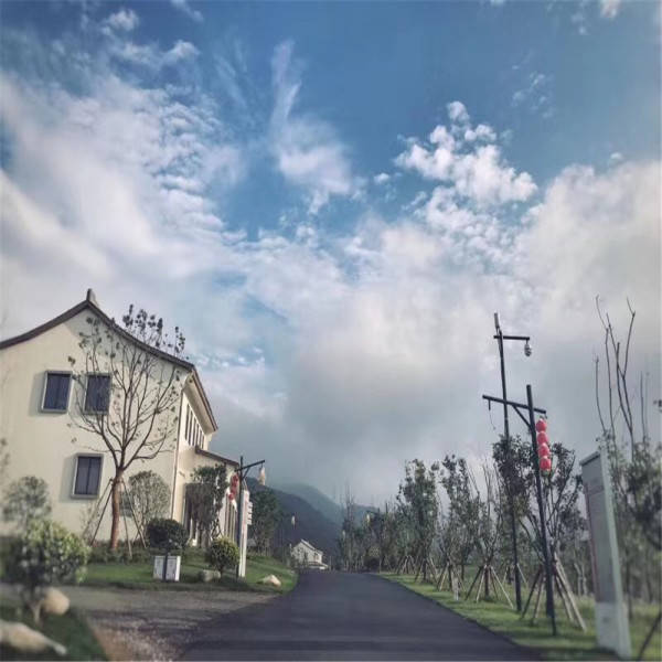 新奧今晚開一肖一特講解詞語，揭秘生肖與特肖的獨(dú)特魅力，揭秘生肖與特肖的獨(dú)特魅力，新奧今晚一開一特講解詞語