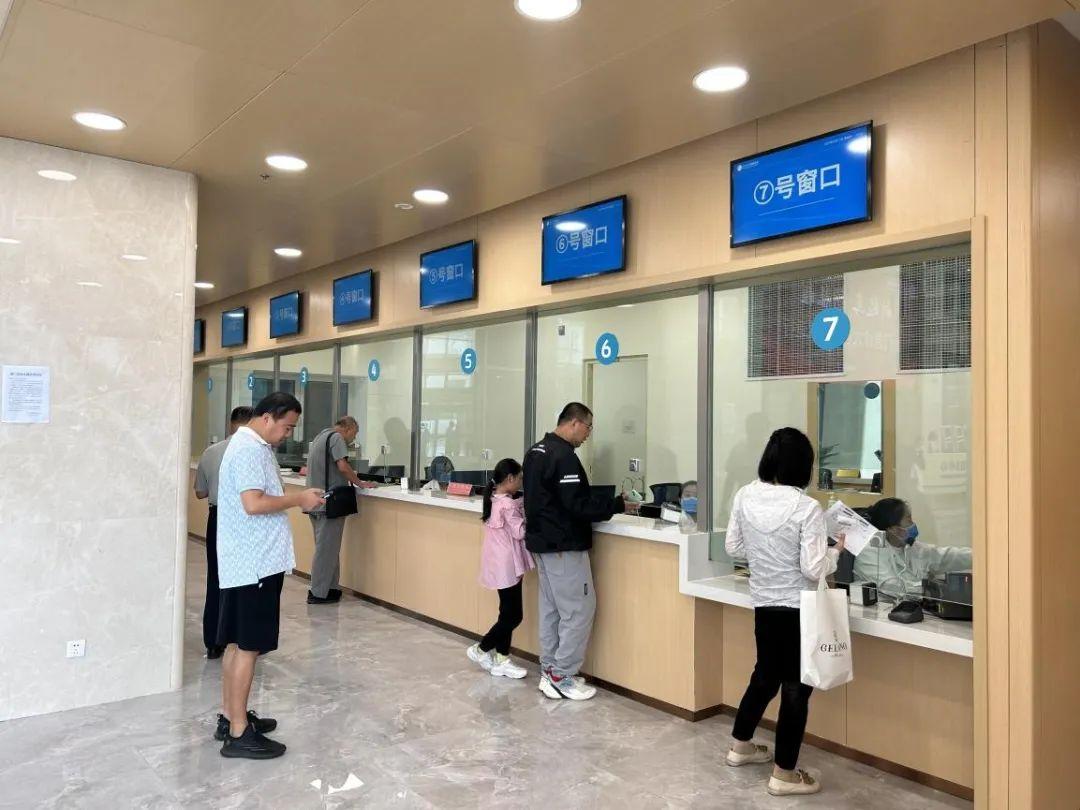 新門內(nèi)部資料免費下載——探索與揭秘，新門內(nèi)部資料揭秘，免費下載與探索之旅