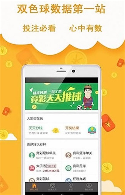 王中王493333中特網，探索與解析，王中王493333中特網，深度探索與解析