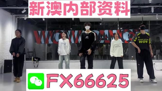 探索未來，2025新澳最新版精準(zhǔn)特色解析，探索未來，揭秘新澳最新版精準(zhǔn)特色解析（2025版）