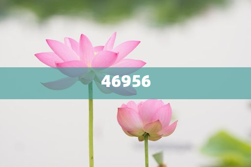 新奧集團(tuán)，邁向2025，天天開好彩的愿景與挑戰(zhàn)，新奧集團(tuán)邁向2025，實現(xiàn)天天開好彩的愿景與挑戰(zhàn)