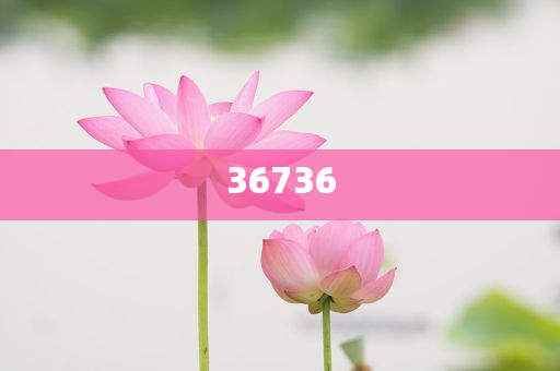 揭秘精準新傳秘籍，7777788888免費策略與SEO優(yōu)化，揭秘精準新傳秘籍，免費策略與SEO優(yōu)化指南