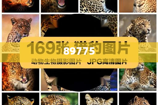 關(guān)于新奧歷史開獎(jiǎng)記錄的最新信息，今天公布了嗎？，新奧歷史開獎(jiǎng)記錄最新信息公布了嗎？