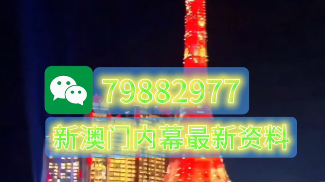 全新2025澳門生肖卡，探索未來幸運之門，全新2025澳門生肖卡，開啟未來幸運之門
