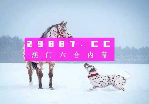 澳門一肖一碼狀元紅，揭秘彩票背后的秘密與策略，澳門彩票揭秘，狀元紅背后的秘密與策略解析