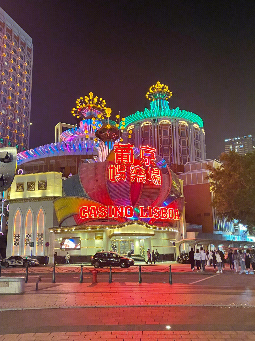 澳門今晚必開一肖一特芳草地，探索生肖與運(yùn)勢(shì)的神秘面紗，澳門生肖運(yùn)勢(shì)揭秘，探索今晚必開一肖一特芳草地神秘面紗的運(yùn)勢(shì)之旅