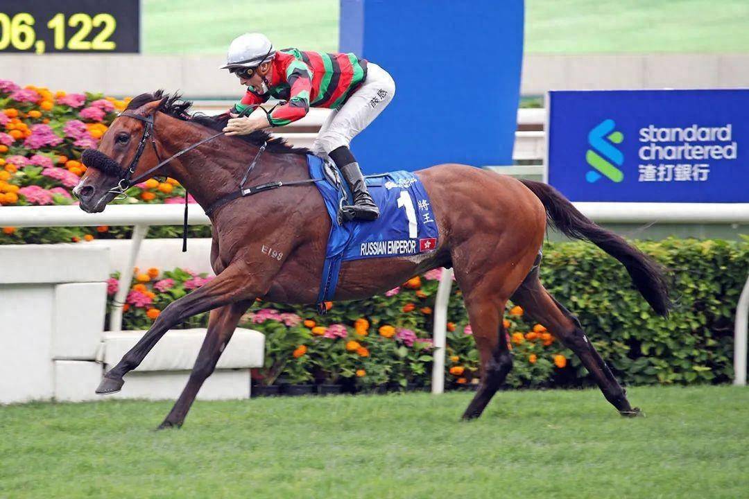 香港馬賽事，探索數(shù)字背后的激情與榮耀 7777788888，香港馬賽事，數(shù)字背后的激情與榮耀