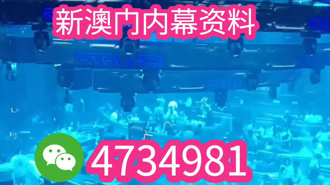 揭秘未來之星，2025新澳王中王，揭秘未來之星，2025新澳王中王風采展示