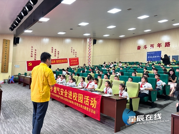 新奧49正版資料，探索與解析，新奧49正版資料深度探索與解析