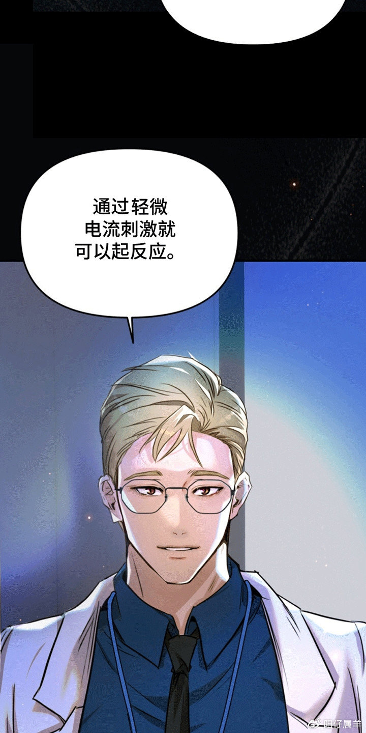 夜間診療室韓漫免費(fèi)，探索醫(yī)療與娛樂的新領(lǐng)域，夜間診療室韓漫免費(fèi)，醫(yī)療與娛樂的新領(lǐng)域探索