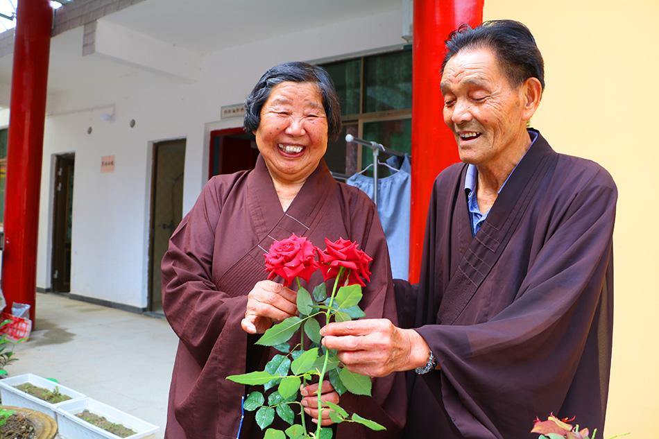 揭秘最準(zhǔn)一碼一肖，揭秘背后的秘密與真相，鳳凰網(wǎng)獨(dú)家報(bào)道，獨(dú)家揭秘，最準(zhǔn)一碼一肖背后的秘密真相（鳳凰網(wǎng)報(bào)道）