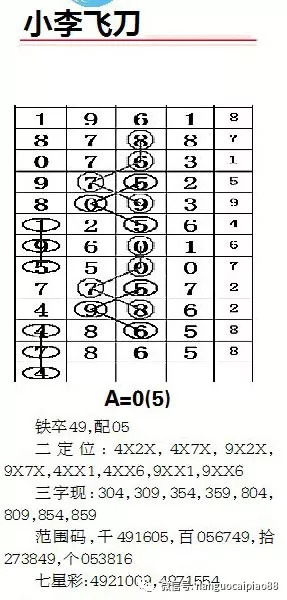 新澳平碼出碼公式，揭秘背后的秘密與策略，揭秘新澳平碼出碼公式，背后的秘密與策略解析