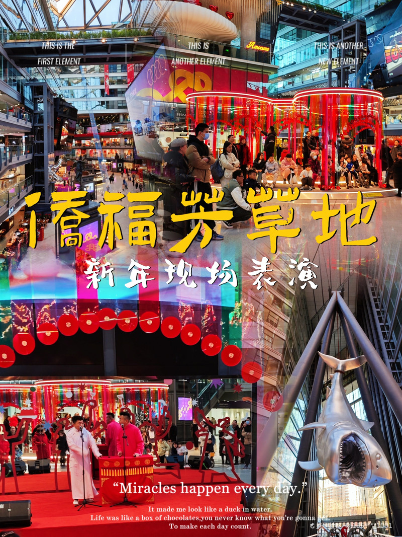 最新揭秘，2024新澳芳草地全方位資料詳解，揭秘2024新澳芳草地全方位資料，最新詳解