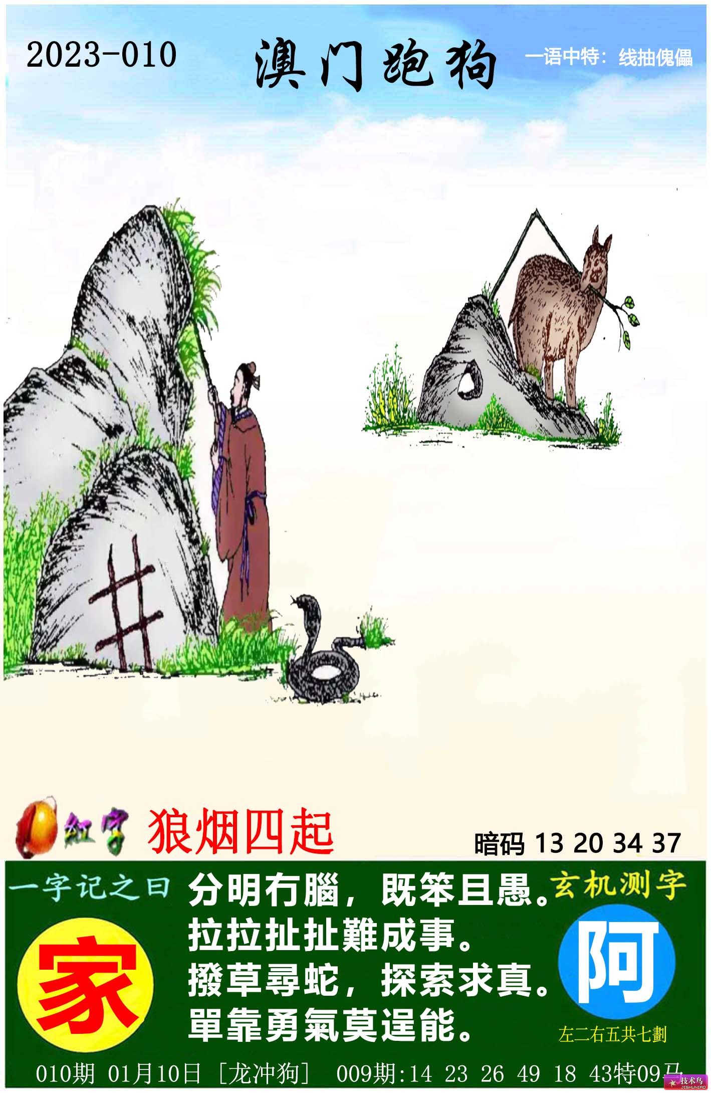 最新更新內(nèi)容，探索7777788888跑狗圖的奧秘，揭秘跑狗圖奧秘，最新更新探索7777788888的神秘面紗