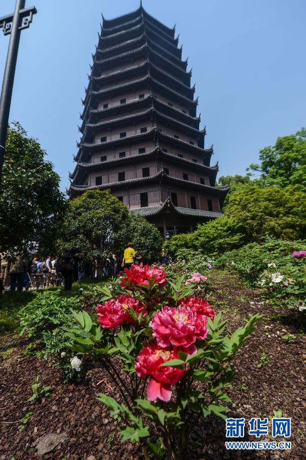 六和彩開碼資料網(wǎng)——探索彩票世界的門戶，六和彩開碼資料網(wǎng)，彩票世界探索之門