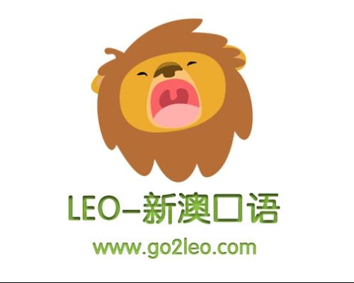全面解析與深度體驗