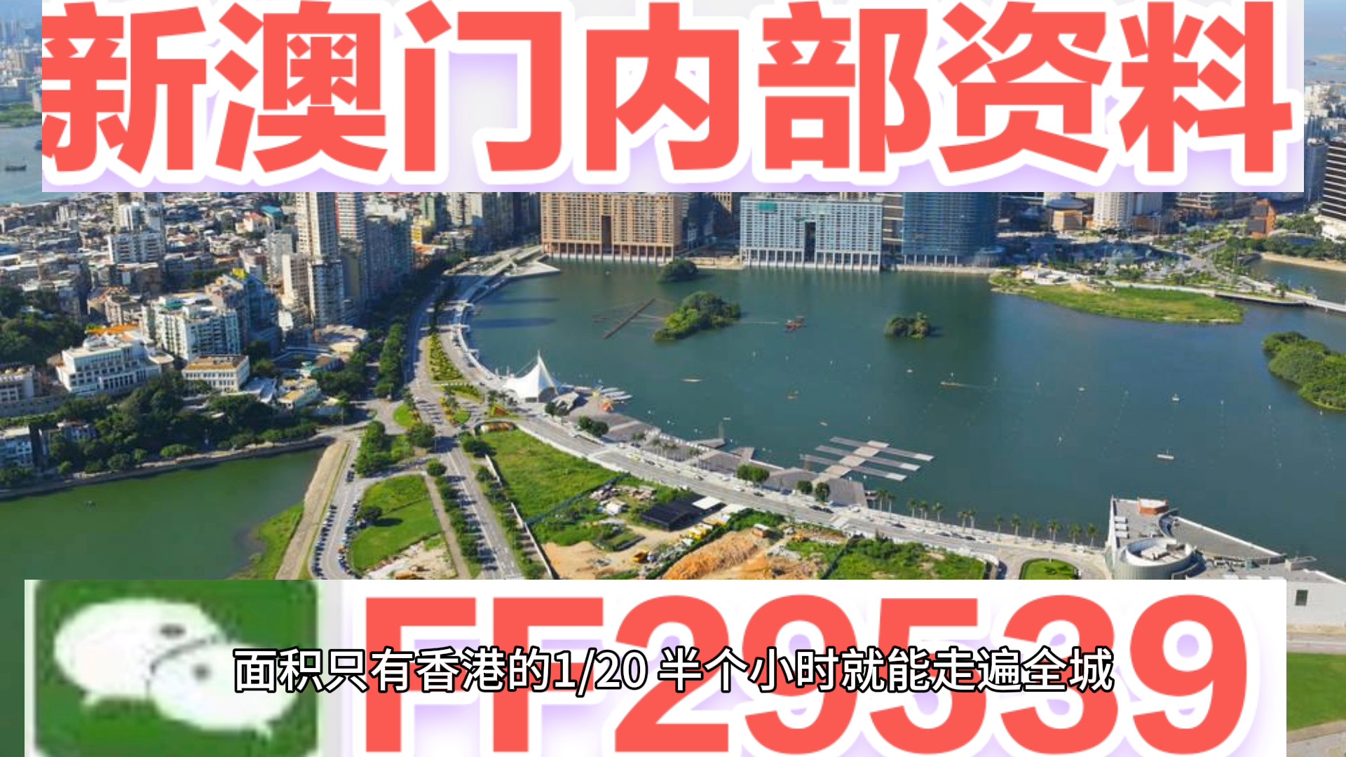 澳門彩票預(yù)測與探索，新澳門04期今晚資料分析（2025年），澳門彩票預(yù)測與探索，新澳門第04期今晚資料深度分析（2025年展望）