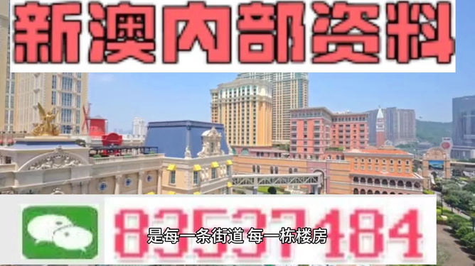 新澳門最精準(zhǔn)正最精準(zhǔn)龍門——探索澳門的魅力與機(jī)遇，澳門魅力與機(jī)遇探索，新澳門最精準(zhǔn)龍門