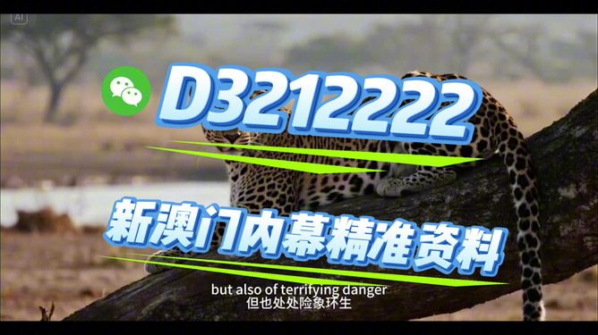 揭秘未來，探索2025開特馬最準確一肖預測之道，揭秘未來，探索精準預測2025開特馬生肖之道