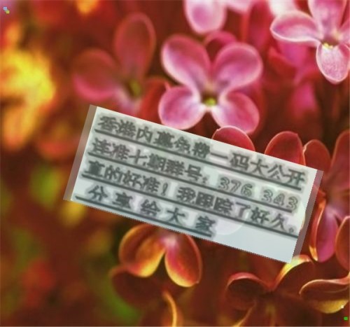 揭秘兩肖必中一肖王中王的秘密策略，揭秘兩肖必中一肖王中王的秘密策略，揭秘生肖彩票的必勝法則！