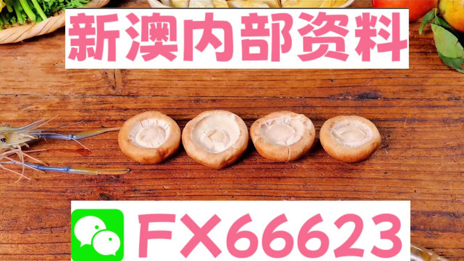 新澳正版資料免費(fèi)提供，全面解析與深度探索，新澳正版資料全面解析與深度探索，免費(fèi)提供的指南