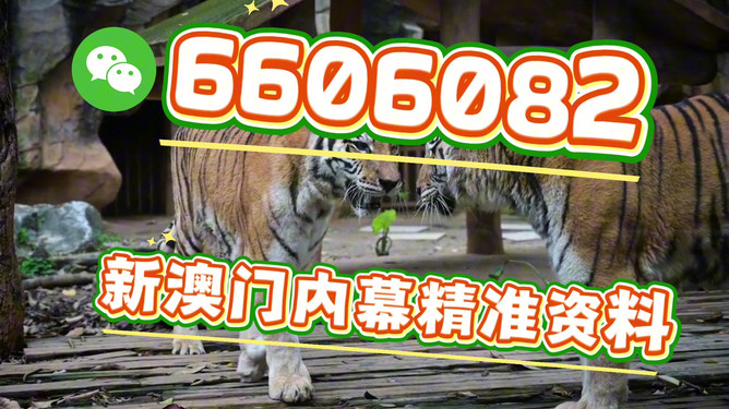 澳門今晚必開一肖一特，深度解析與預(yù)測，澳門今晚生肖特碼深度解析與預(yù)測，一肖一特必開趨勢探討