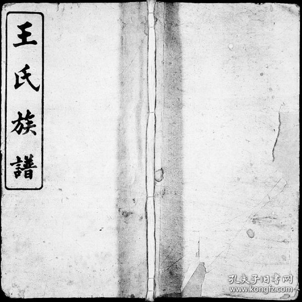 小魚(yú)兒一肖王中王興典，探索背后的故事與奧秘，小魚(yú)兒一肖王中王興典，背后的故事與奧秘揭秘