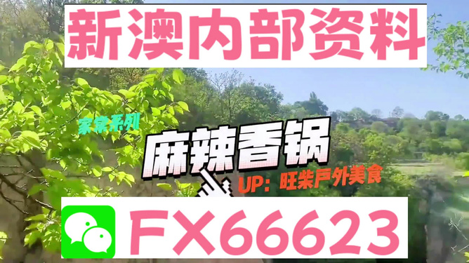新澳資料最準(zhǔn)的網(wǎng)站，權(quán)威數(shù)據(jù)來源與精準(zhǔn)信息獲取指南，新澳資料最準(zhǔn)網(wǎng)站，權(quán)威數(shù)據(jù)來源與精準(zhǔn)信息獲取一站式指南