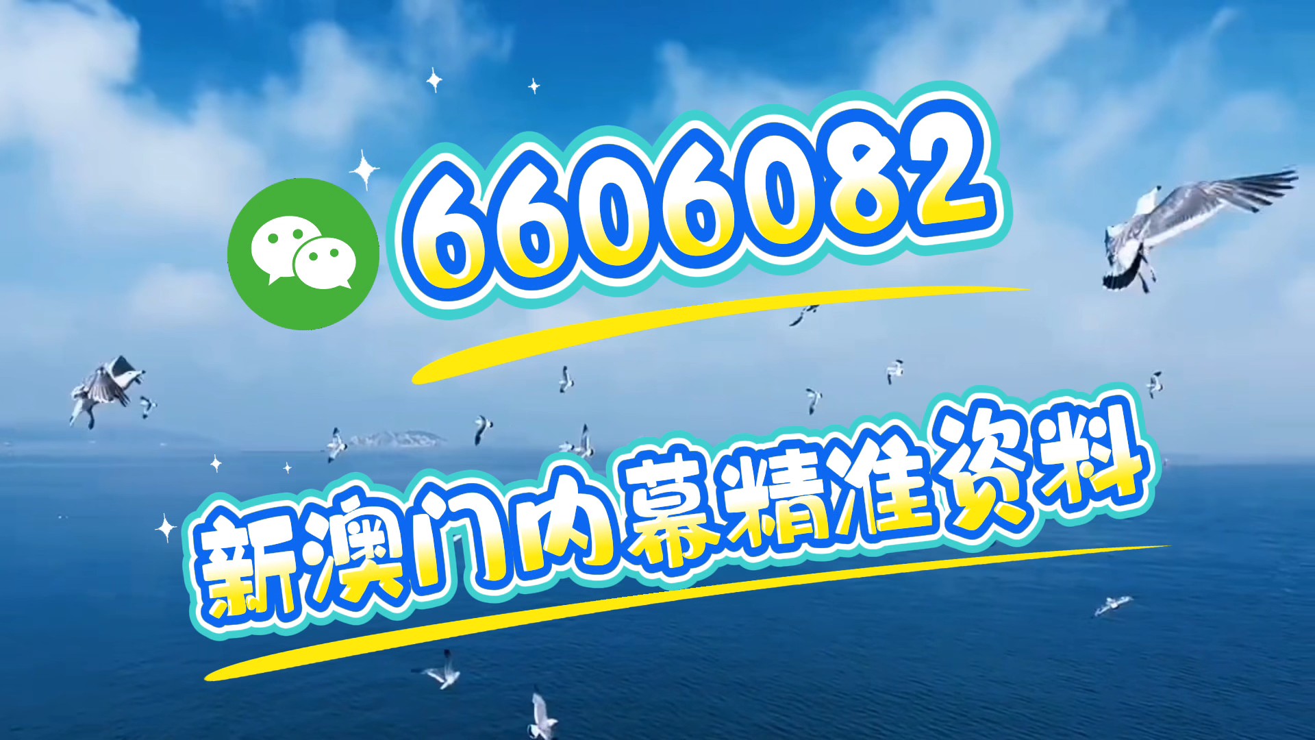 新澳內(nèi)部一碼精準(zhǔn)公開