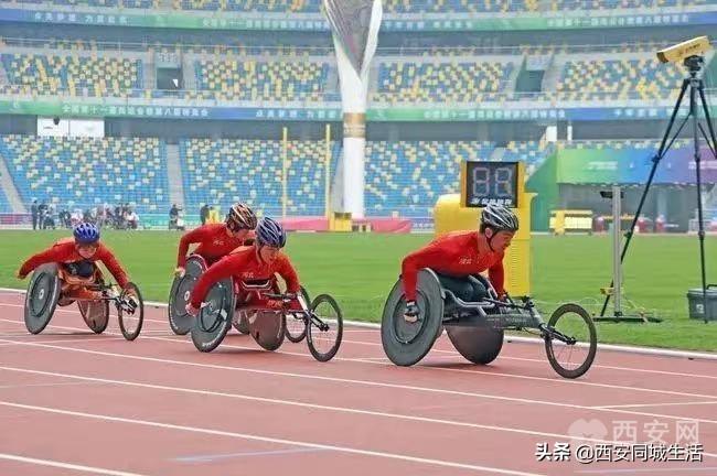 探索澳門未來(lái)，2025新澳門正版免費(fèi)資本車展望，澳門未來(lái)展望，2025資本車正版免費(fèi)探索之旅