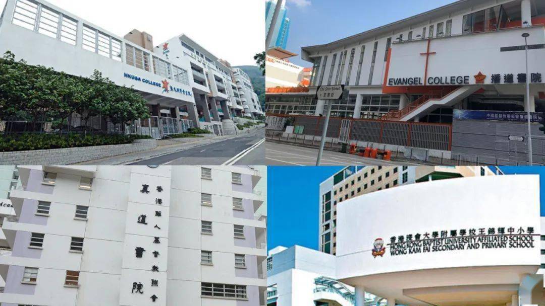 香港免費(fèi)公開(kāi)資料大全，探索無(wú)盡的資源寶庫(kù)，香港免費(fèi)公開(kāi)資料寶庫(kù)，無(wú)盡資源探索之旅