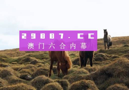 澳門彩開獎結果 2023年回顧與展望，澳門彩開獎結果回顧與展望，2023年展望與預測