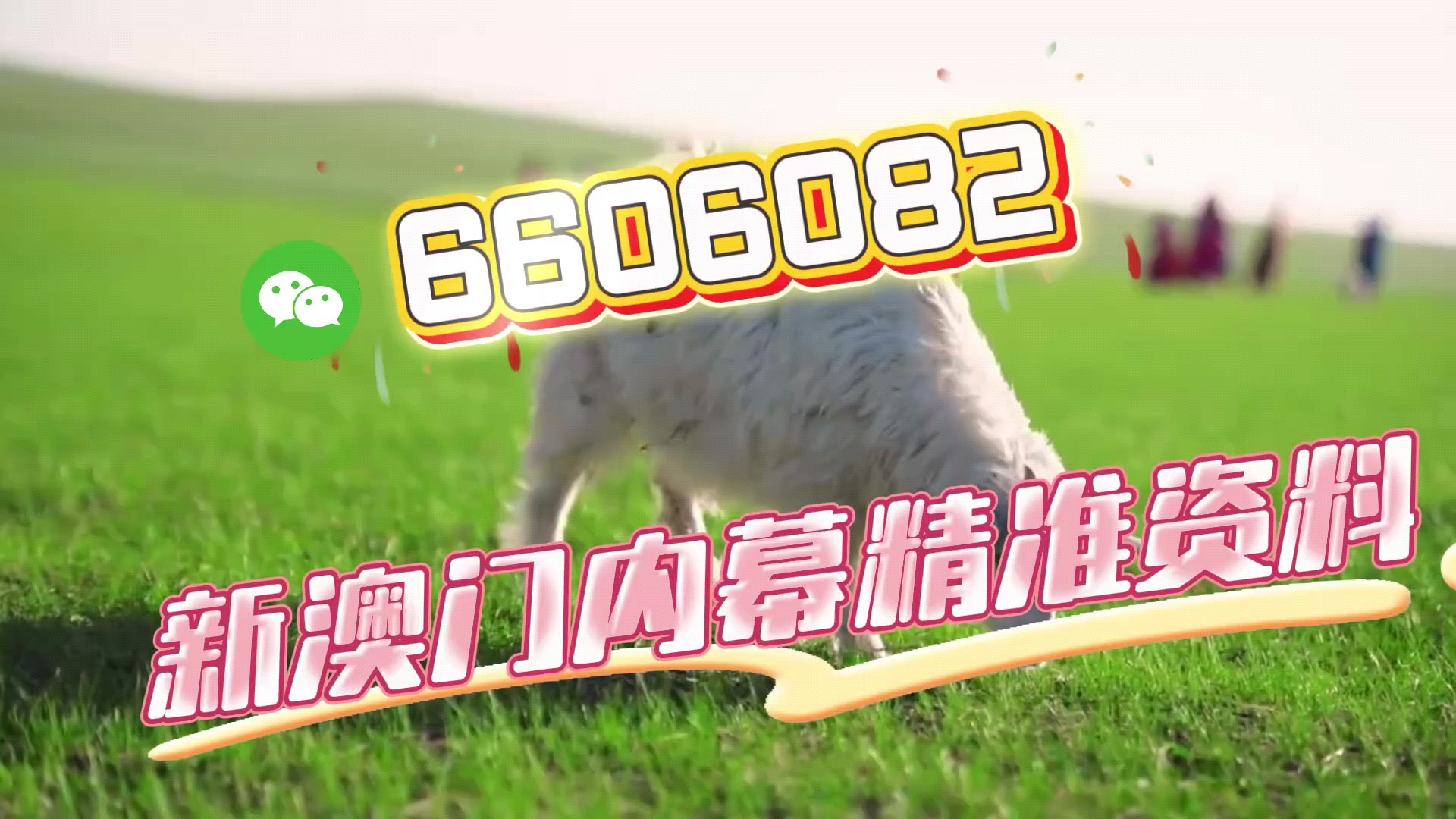 澳門一碼一肖，揭秘預(yù)測準(zhǔn)確性的真相，澳門一碼一肖預(yù)測真相揭秘