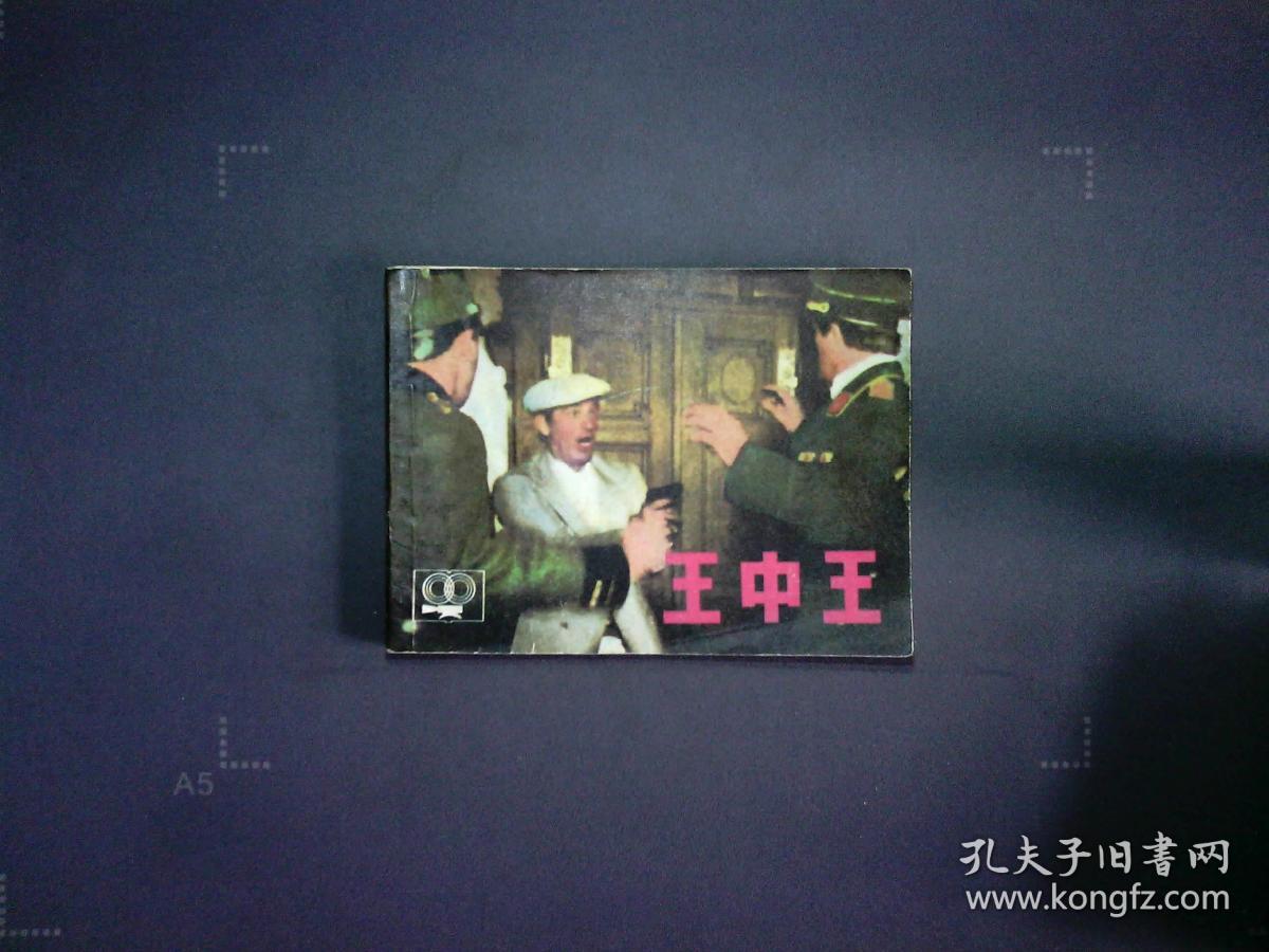 王中王資料一肖中天，深度解析與探索，王中王資料一肖中天，深度剖析與探索