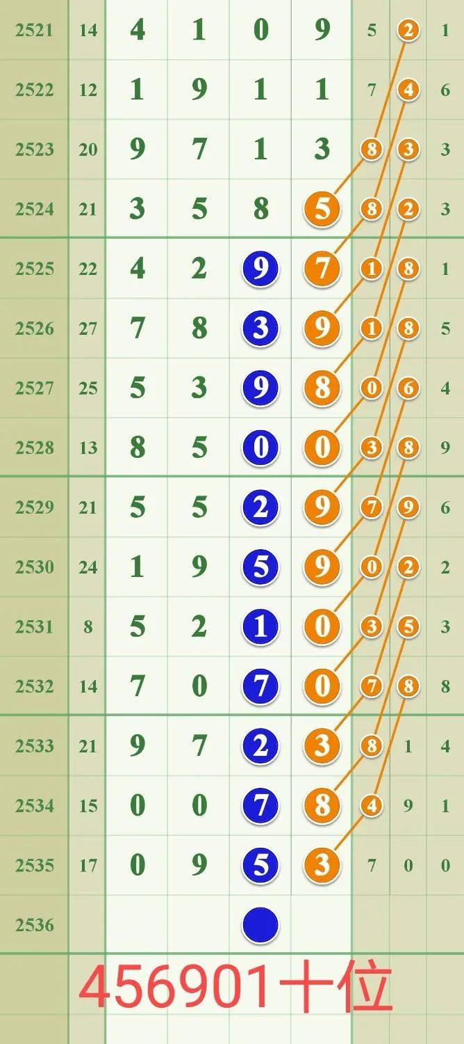 揭秘029期王中王平特一肖的神秘面紗，揭秘王中王平特一肖的神秘面紗