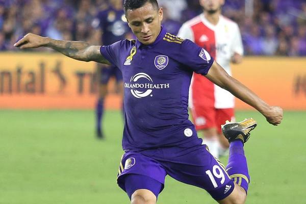 管家婆必中一肖圖正版，揭秘彩票背后的秘密與策略，揭秘彩票背后的秘密與策略，管家婆必中一肖圖正版分析