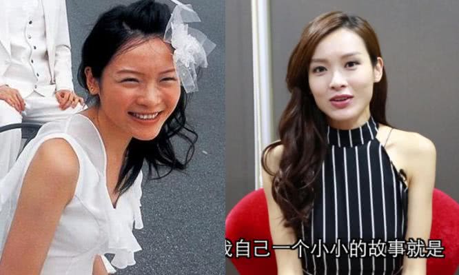 香港女明星名字大全圖，璀璨星光下的美麗傳奇，璀璨星光下的美麗傳奇，香港女明星名字大全圖