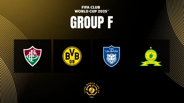 2025新澳正版資料精準(zhǔn)解析與預(yù)測，2025新澳正版資料精準(zhǔn)解析與趨勢預(yù)測