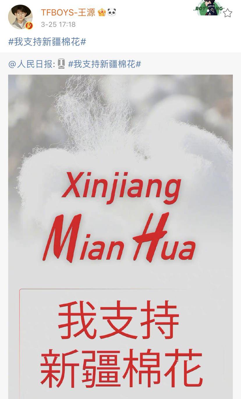 曾夫人王中王精準(zhǔn)一肖，揭秘生肖預(yù)測的魅力與真相，揭秘生肖預(yù)測真相，曾夫人王中王精準(zhǔn)一肖的魅力與探討