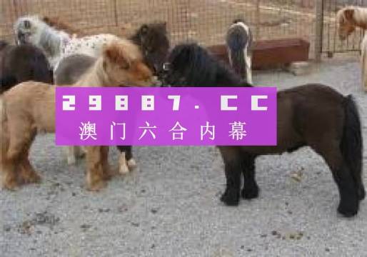 王中王平特一肖四不像圖，深度解析與SEO優(yōu)化策略，王中王平特一肖四不像圖，深度解析與SEO優(yōu)化策略探討