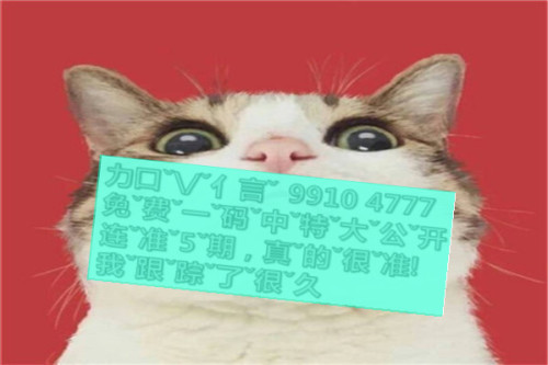 一肖啥意思，深度解析與SEO優(yōu)化文章，一肖含義深度解析與SEO優(yōu)化策略探討