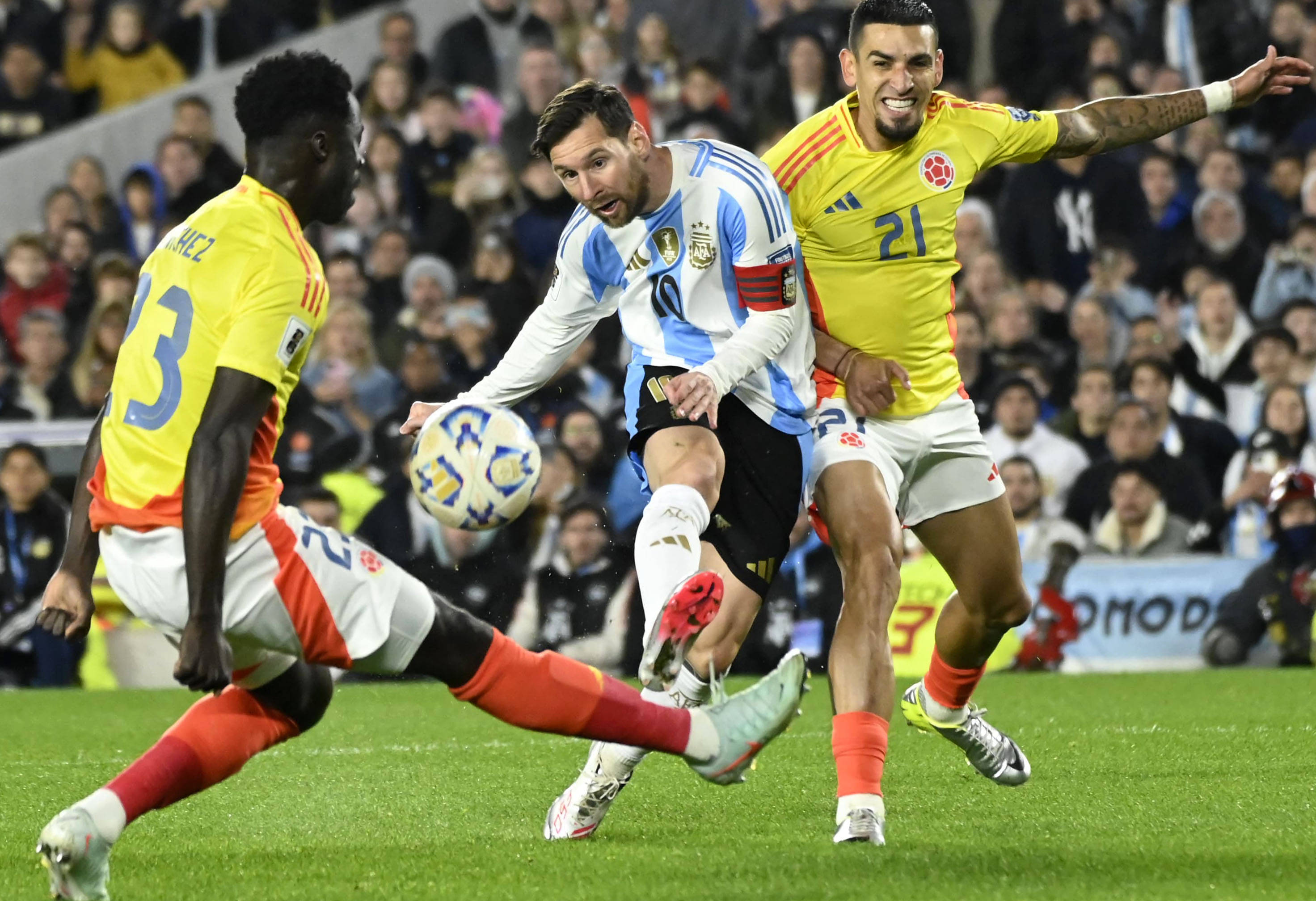 王中王一肖，揭秘碼一特一中的奧秘，揭秘王中王一肖特一中奧秘的真相