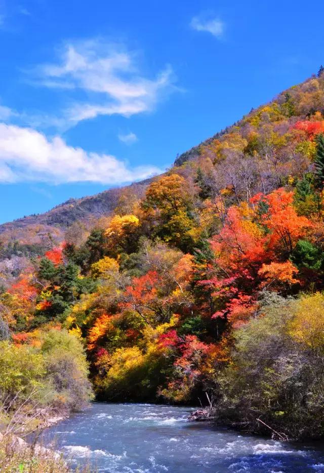 自駕去九寨溝的最佳路線指南，自駕九寨溝，最佳路線指南