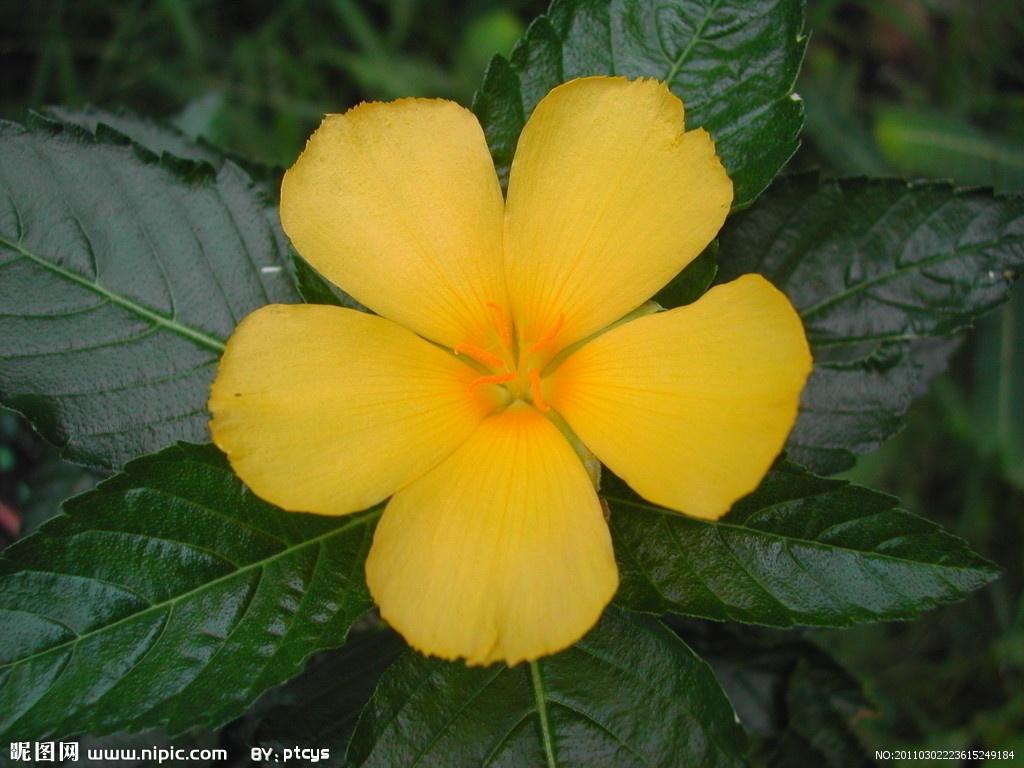 桌面時(shí)鐘，功能與選擇指南，桌面時(shí)鐘，功能特性與選擇指南