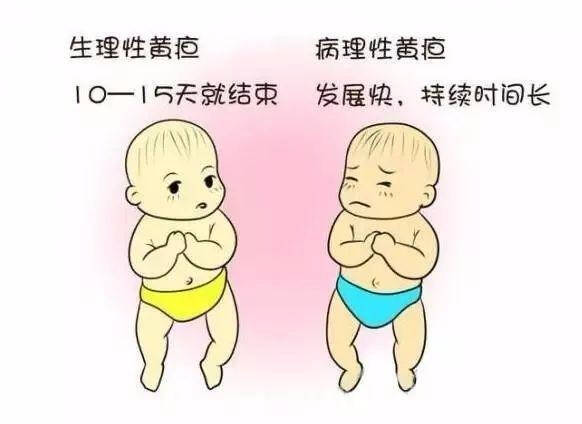 黃疸消退后身體哪些部位最先變白，黃疸消退后身體哪些部位最先恢復(fù)膚色白皙？